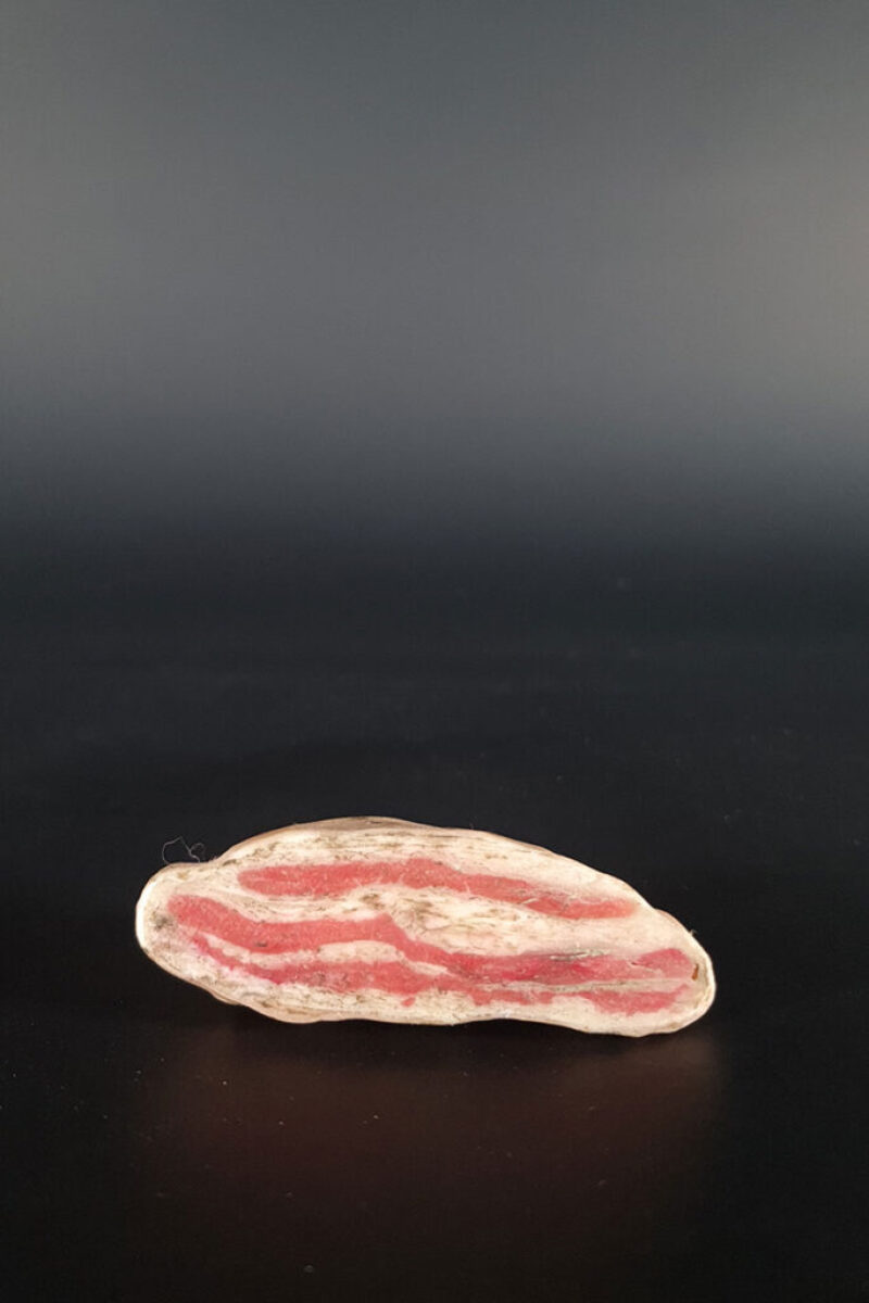 Pancetta A4008