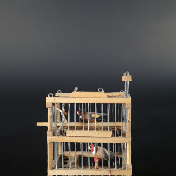 Cage G10030