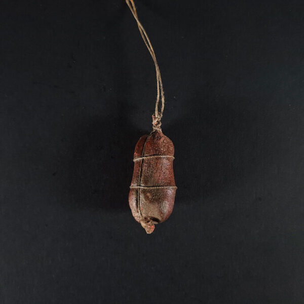 Salumi A68010
