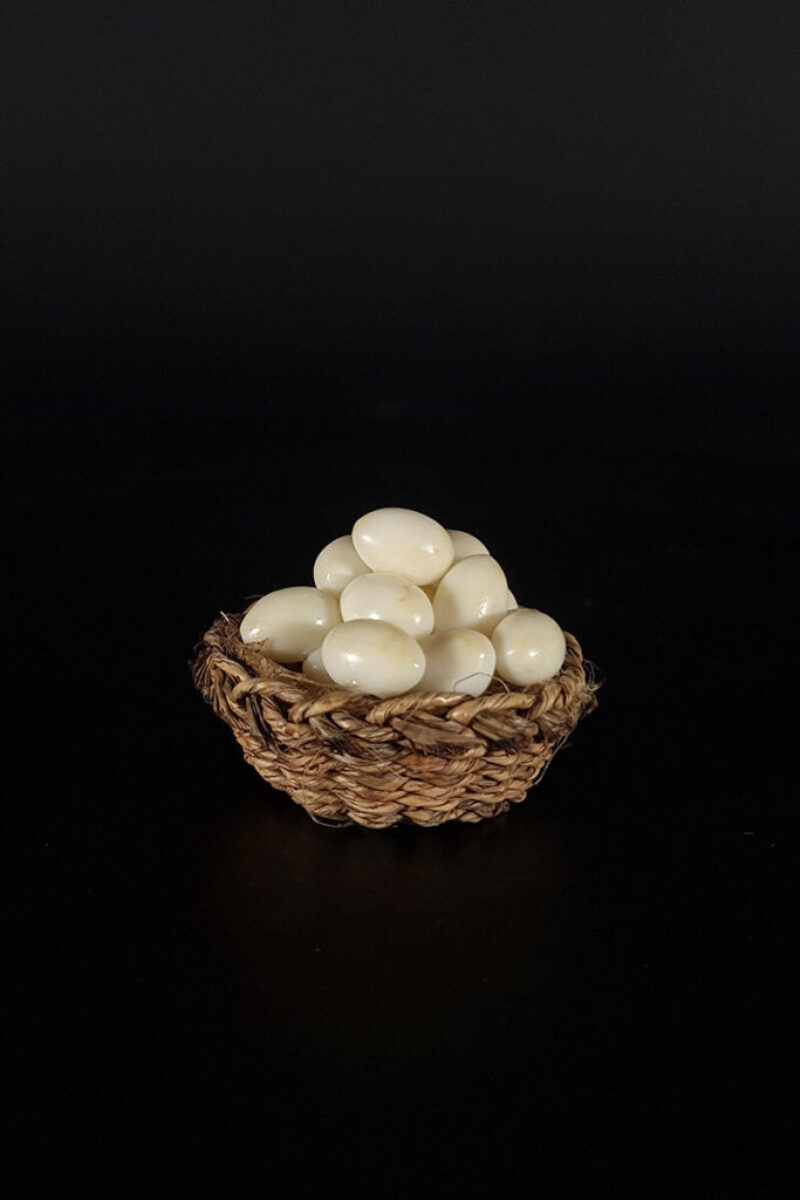 Egg Tray L180015